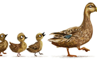 Mother Duck & Ducklings