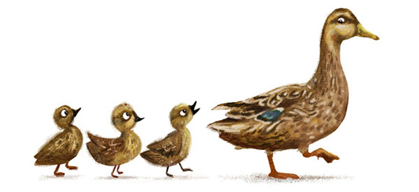 Mother Duck & Ducklings