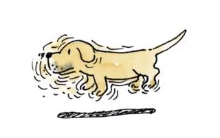 illustration of tail wagging the dog