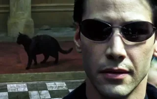 images of the déjà vu moment in The Matrix