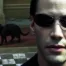images of the déjà vu moment in The Matrix
